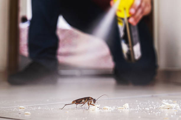 Best Pest Inspection Near Me  in Coord, NC